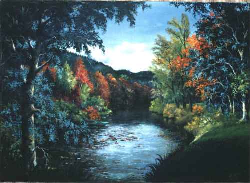 Rivière à travers la forêt